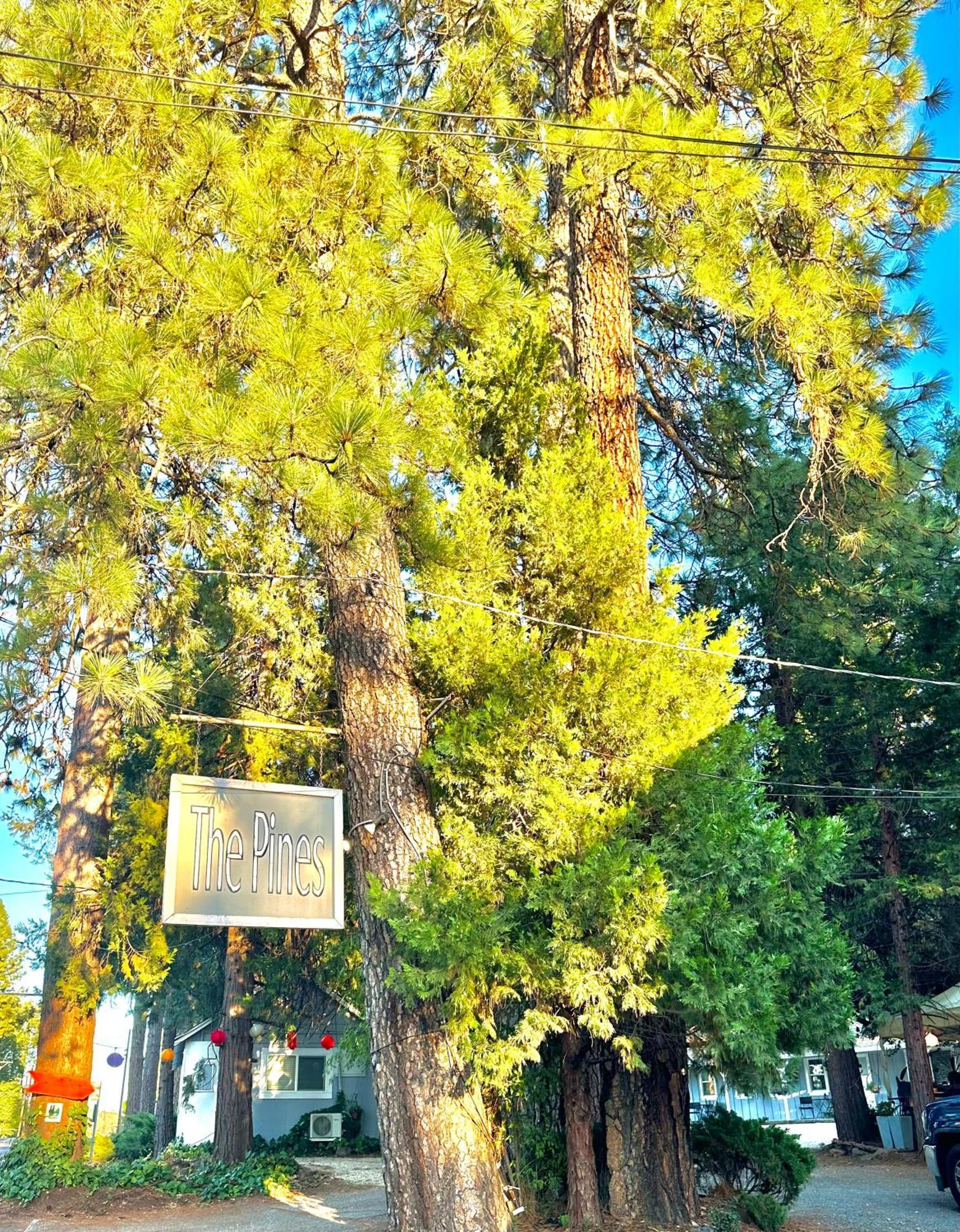 The Pines Inn And Cottages Grass Valley Exterior foto